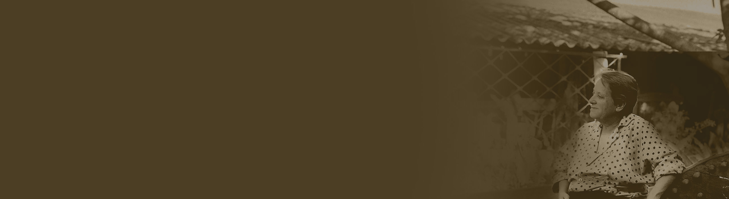 Banner Noemi Gontijo